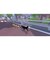 FANGAMERJAPAN　Switchゲームソフト リトルキティ・ビッグシティ -まいごの子猫の街さんぽ-HAC-P-BA7BA<br>★こちらの商品は人気商品のため、色違い・仕様違い等含め「一家族１台限り」でのご協力をお願いしております。