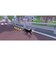 FANGAMERJAPAN　Switchゲームソフト リトルキティ・ビッグシティ -まいごの子猫の街さんぽ-HAC-P-BA7BA<br>★こちらの商品は人気商品のため、色違い・仕様違い等含め「一家族１台限り」でのご協力をお願いしております。
