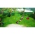 スクウェア・エニックス　Switchゲームソフト ドラゴンクエストX 目覚めし五つの種族 オフライン 通常版HAC-P-A4U4A