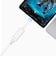 TPLINK　LAN変換アダプタ ［USB-C オス→メス LAN］ 1Gbps対応(Chrome/Mac/Windows11対応)UE300CJP