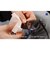 ツァイス　レンズクリーニングペーパーLens Wipes 30 ZEISSLENSWIPES30
