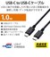 エレコム　Type-Cケーブル ブラック 2m U2CCC5PC20NBK