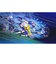 バンダイナムコエンターテインメント　Switchゲームソフト キャプテン翼2 WORLD FIGHTERS ｷｬﾌﾟﾃﾝﾂﾊﾞｻ2WORLDFI<br>★こちらの商品は人気商品のため、色違い・仕様違い等含め「一家族１台限り」でのご協力をお願いしております。