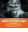 トリニティ　iPhone 18 Pro フィルム / 17 Pro / 17 ［FLEX 3D］ ゴリラガラス 高透明 複合フレームガラス ブラック TRIP26M3G3GOCCBK