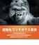 トリニティ　iPhone 18 Pro フィルム ［FLEX 3D］ ゴリラガラス 黄色くないブルーライト低減 複合フレームガラス ブラック TRIP26M3G3GOB3CBK