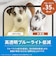 トリニティ　iPhone 18 Pro Max フィルム ケースとの相性抜群 黄色くないブルーライト低減 画面保護強化ガラス 光沢 TRIP26L3GLSB3CC