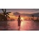 スクウェア・エニックス　Switch2ゲームソフト FINAL FANTASY X/X-2 HD Remaster FFX_X-2<br>★こちらの商品は人気商品のため、色違い・仕様違い等含め「一家族１台限り」でのご協力をお願いしております。