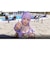 コーエーテクモゲームス　Venus Vacation PRISM - DEAD OR ALIVE Xtreme - プレミアムボックス ［Windows用］ VVﾌﾟﾘｽﾞﾑPBOX<br>★こちらの商品は人気商品のため、色違い・仕様違い等含め「一家族１台限り」でのご協力をお願いしております。