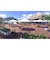 コーエーテクモゲームス　Venus Vacation PRISM - DEAD OR ALIVE Xtreme - プレミアムボックス ［Windows用］ VVﾌﾟﾘｽﾞﾑPBOX<br>★こちらの商品は人気商品のため、色違い・仕様違い等含め「一家族１台限り」でのご協力をお願いしております。