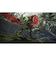 コーエーテクモゲームス　Switch2ゲームソフト Wo Long： Fallen Dynasty Complete Edition ｳｫｰﾛﾝｺﾝﾌﾟﾘｰﾄｴﾃﾞｨｼｮﾝ<br>★こちらの商品は人気商品のため、色違い・仕様違い等含め「一家族１台限り」でのご協力をお願いしております。