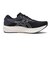 1011B789.001　EvoRide SPEED 2　BLACK/WHITE　678009-0001
