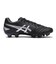 1103A095.001　DS LIGHT PRO　BLACK/P SILVER　678201-0001