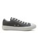 31311580　AS LIGHT OX　*SMOKY GRAY　678589-0001