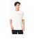 MT41949SST　M Japan culture ﾏﾝｶﾞ Tｼｬﾂ　SST　677337-0001