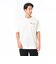 MT41949SST　M Japan culture ﾏﾝｶﾞ Tｼｬﾂ　SST　677337-0001