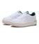 1203A289.111　JAPAN S ST　WHITE/GREEN　676823-0001
