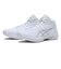 1063A080.100　GELHOOP V16 EW　WHITE/P SILVER　678188-0001