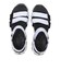 31514　D'LITES - FRESH CATCH　WBK　681358-0002