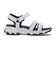 31514　D'LITES - FRESH CATCH　WBK　681358-0002