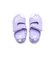 SIFCRSD1　14-16 SIFCRSD1(M)　PURPLE(D1)　677502-0001