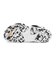JI2083　TERREX SUMRA　FTWR/CORE/GREY　683383-0001
