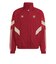IS6508　M FC BAYERN M OG TT　ACTIVEMAROONF19　682413-0001