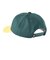 124K7160600　TEAM CAP　GREEN　682629-0004