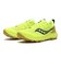S20916-220　PEREGRINE 14　CITRON/OAK　681419-0001