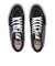 VN0A2Z33PCA　SKATE SK8-HI　PURPLE/BLACK　688434-0001