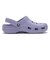10001-5BN　CLASSIC CLOG　MYSTIC PURPLE　687448-0001