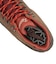 63439　PANORAMA MID　BROWN/BOSSA BOV　679695-0001