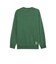 630100　M TMNT RELAXED GRAPHIC CR　37VINE　693245-0002