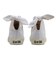 31314640　AS SHERBEE HI　*WHITE　690604-0001