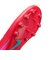 MFQ8431　ZOOM VAPOR 16 ACADEMY HG　800EMBRGL/AURGR　683609-0002