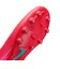 MFQ8431　ZOOM VAPOR 16 ACADEMY HG　800EMBRGL/AURGR　683609-0002