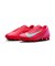 MFQ8431　ZOOM VAPOR 16 ACADEMY HG　800EMBRGL/AURGR　683609-0002