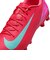 MFQ8431　ZOOM VAPOR 16 ACADEMY HG　800EMBRGL/AURGR　683609-0002