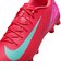 MFQ8431　ZOOM VAPOR 16 ACADEMY HG　800EMBRGL/AURGR　683609-0002
