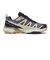 L47816600　X ULTRA 360 EDGE GTX　Grisaille/Marit　691266-0001