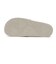 384139　LEADCAT 2.0　33DESERT DUST　690268-0002