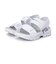 USS25038125　FILA TRACER SD SCRIPT　*WHITE/FILANVY　696537-0001