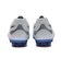 1103A098.103　DS LIGHT ADVANCE W　WHITE/P SILVER　691709-0001