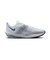 MFV6040　AIR ZOOM RIVAL FLY 4　102WHT/GRDIRN　688275-0007