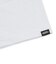 VN000ZV1WHT　MT FUJI SS TEE　White　699013-0001
