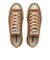 31315460　AS AGED AC OX　BURNT OCHER　699740-0001
