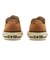 31315460　AS AGED AC OX　BURNT OCHER　699740-0001