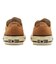 31315460　AS AGED AC OX　BURNT OCHER　699740-0001