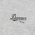425R1013201　M Steelhead Trout PKT TEE　ASH　697441-0003