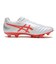 1103A110.104　DS LIGHT PRO W　WHITE/FLASH RED　700342-0001