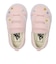 V36TDL BLT EB.F　12-165(H) OLD SKOOL　PNK/WHT/FLW　696339-0002